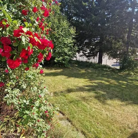 Apartament Sentralt I